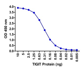TIGIT Antibody [4A11]