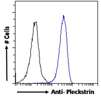 PLEK Antibody
