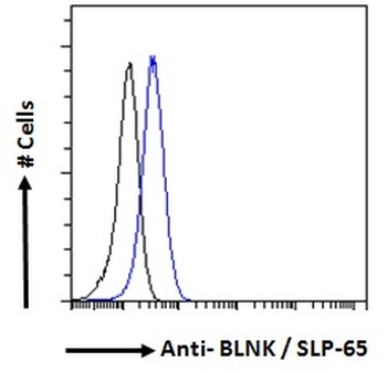 BLNK Antibody