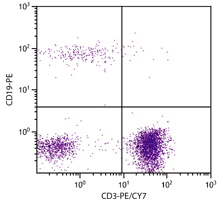 CD3E Antibody (PE/Cy7)