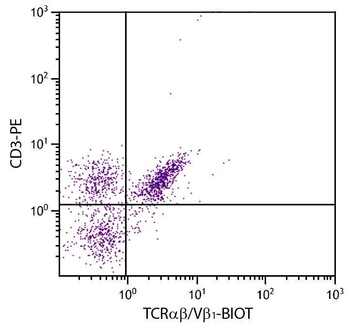 TCRab/Vb1 Antibody [TCR-2] (Biotin)
