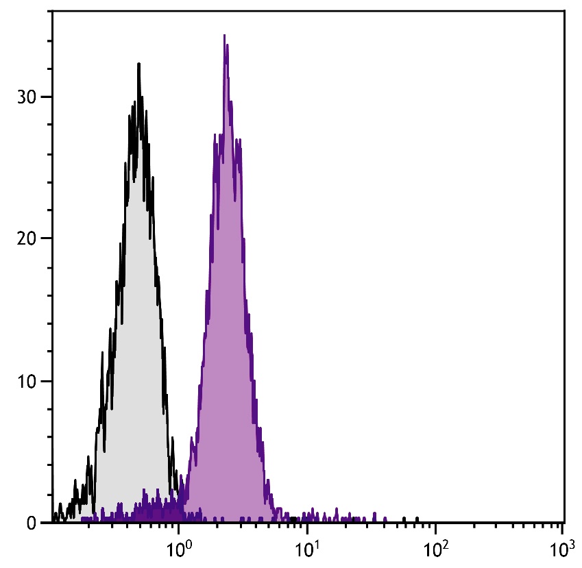 Pecam1 Antibody (Biotin)