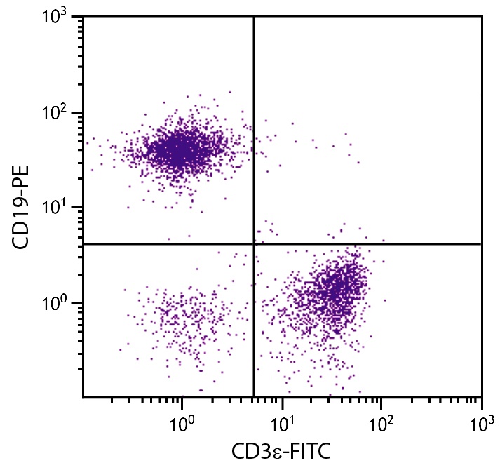 Cd3e Antibody (FITC)