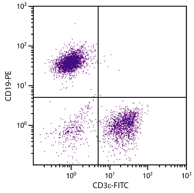 Cd3e Antibody (FITC)