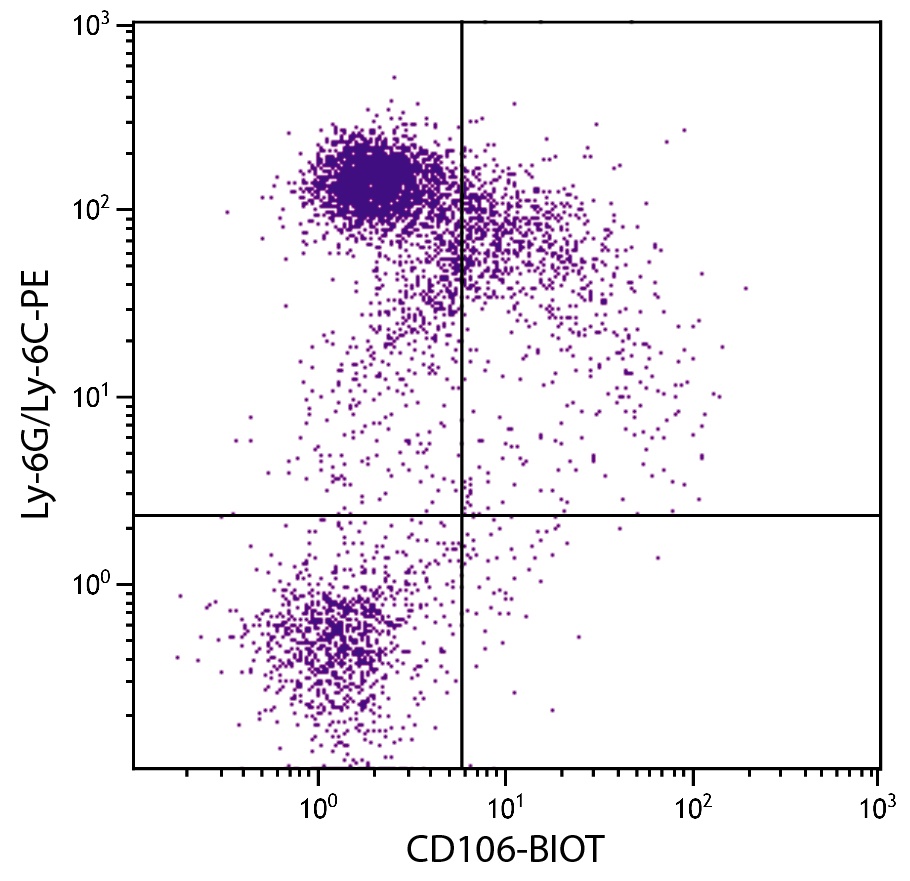 Vcam1 Antibody (Biotin)