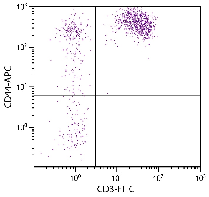 CD44 Antibody (APC)