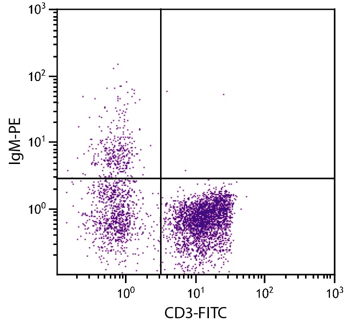 IgM Antibody [M-1] (PE)