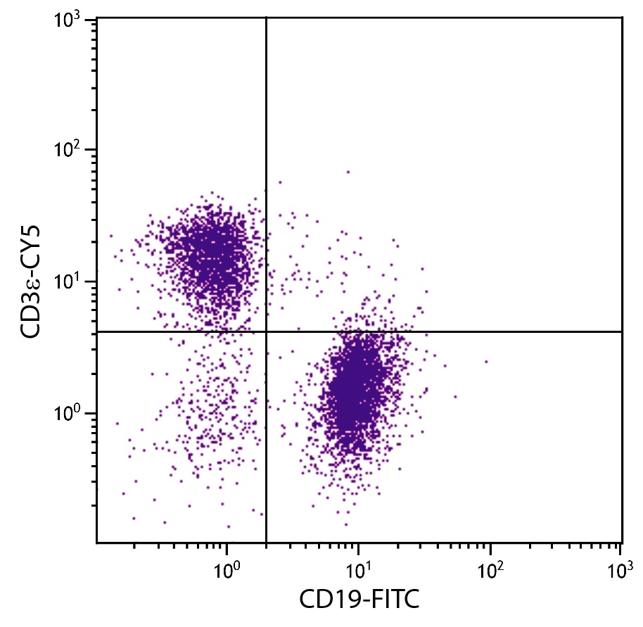 Cd3e Antibody (Cy5)