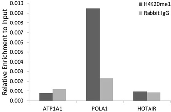 H4R3me2a Antibody