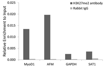 TriMethyl-Histone H3-K27 pAb