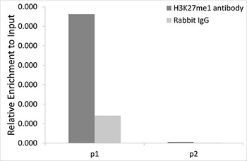 MonoMethyl-Histone H3-K27 pAb