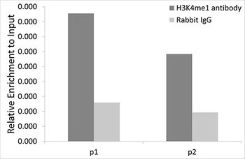 MonoMethyl-Histone H3-K4 pAb