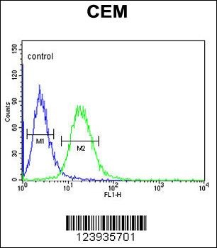 GABRA4 Antibody