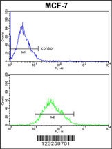 COX5A Antibody