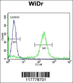 ADAMDEC1 Antibody