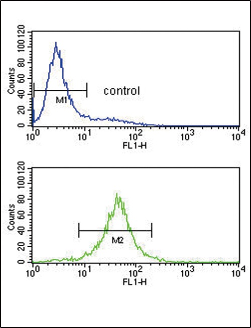 IL10 Antibody