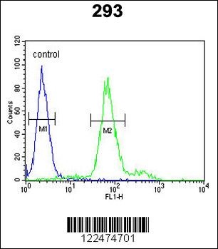 KLF16 Antibody