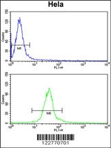 DERL1 Antibody