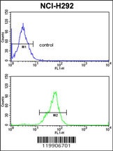 TOB1 Antibody