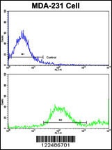 ADRA2B Antibody