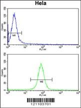 CALM1 Antibody