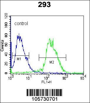 DUSP3 Antibody