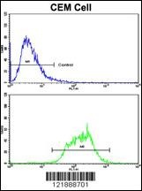 MT-ND5 Antibody