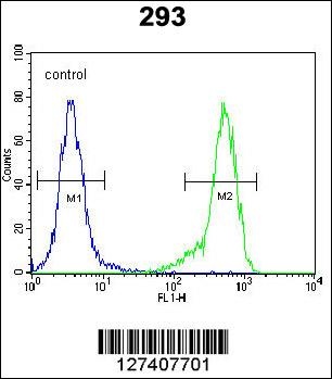NDNF Antibody