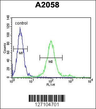 GOLT1A Antibody