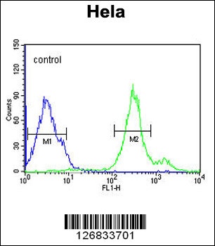 CYC1 Antibody