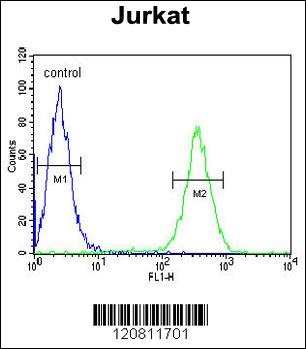 HNRNPL Antibody