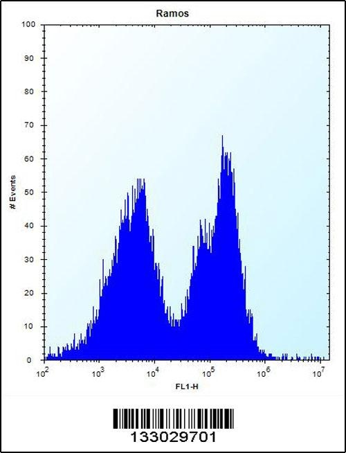 PCDHGA3 Antibody