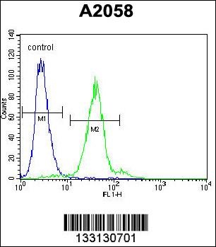 TEX261 Antibody