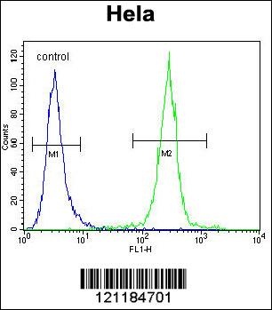 COCH Antibody