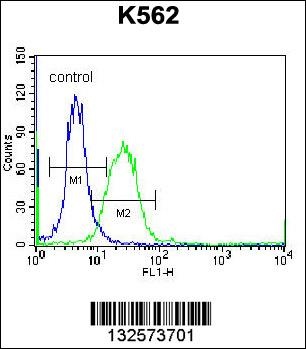 DOC2A Antibody