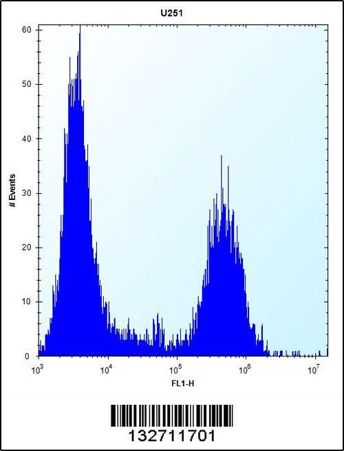 TPM4 Antibody