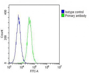 GUCY2D Antibody
