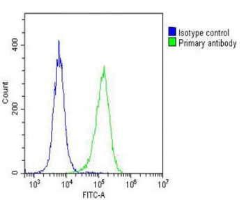 DEPDC5 Antibody