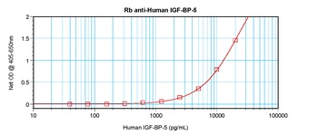 IGFBP5 Antibody