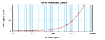 NAMPT Antibody