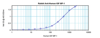IGFBP1 Antibody