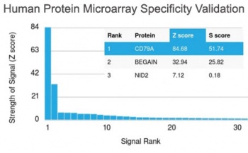 Recombinant CD79a Antibody [IGA/1790R]