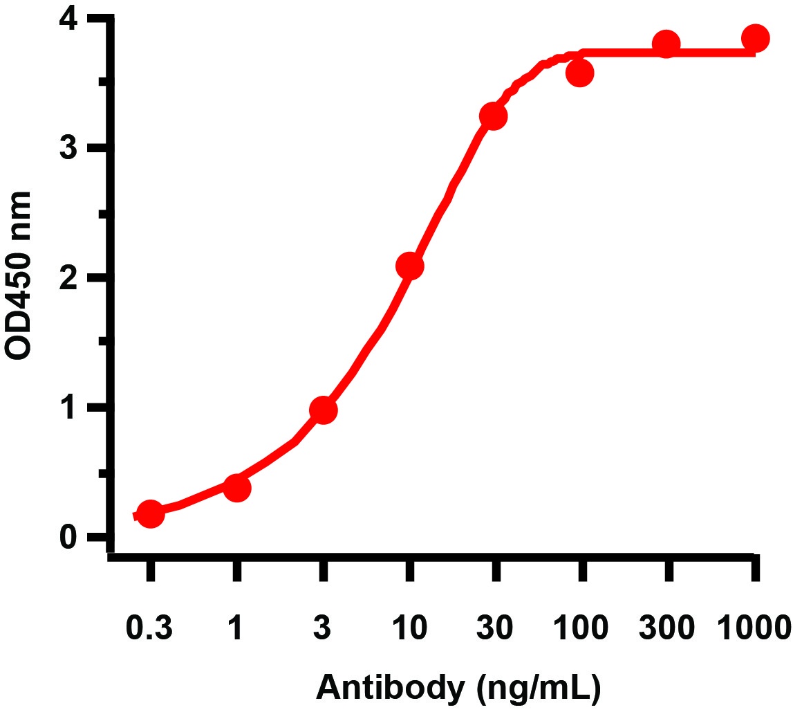 GAG Antibody