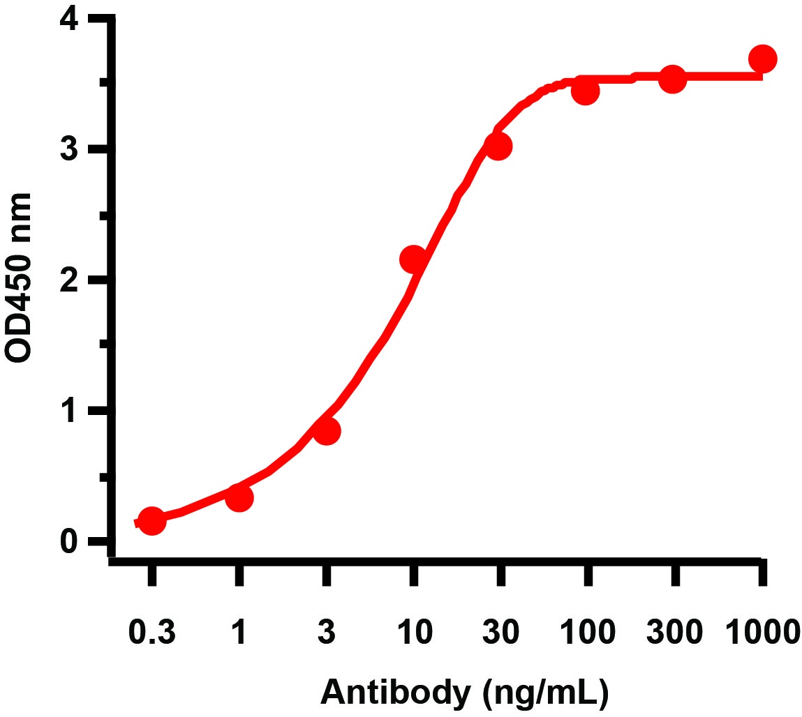 GAG Antibody