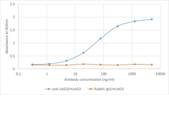 Lag3 Antibody [C9B7W], Rabbit IgG