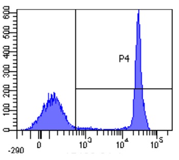 CD4 Antibody [CE9.1 (Clenoliximab)], Rabbit IgG - Research Grade Biosimilar