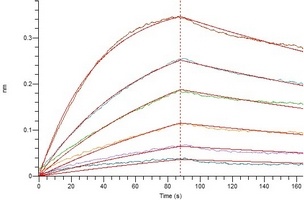 COVID-19 S Protein RBD (Omicron, B.1.1.529)
