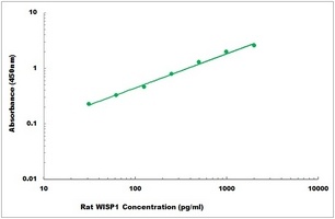 Rat WISP1 ELISA Kit