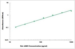 Rat JAM3 ELISA Kit