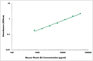 Mouse Plexin B2 ELISA Kit